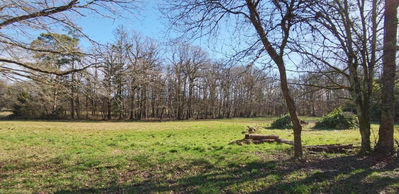 Apartmán Aux Domaines D'Automne Peronnas Exteriér fotografie